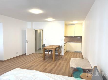 Pronájem bytu, 1+kk, 29 m²