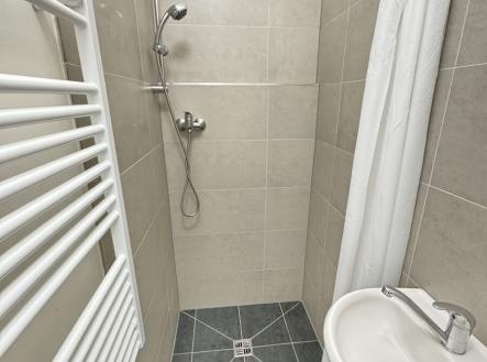 Pronájem bytu, 1+kk, 20 m²