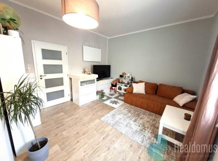 Pronájem bytu, 1+1, 47 m²