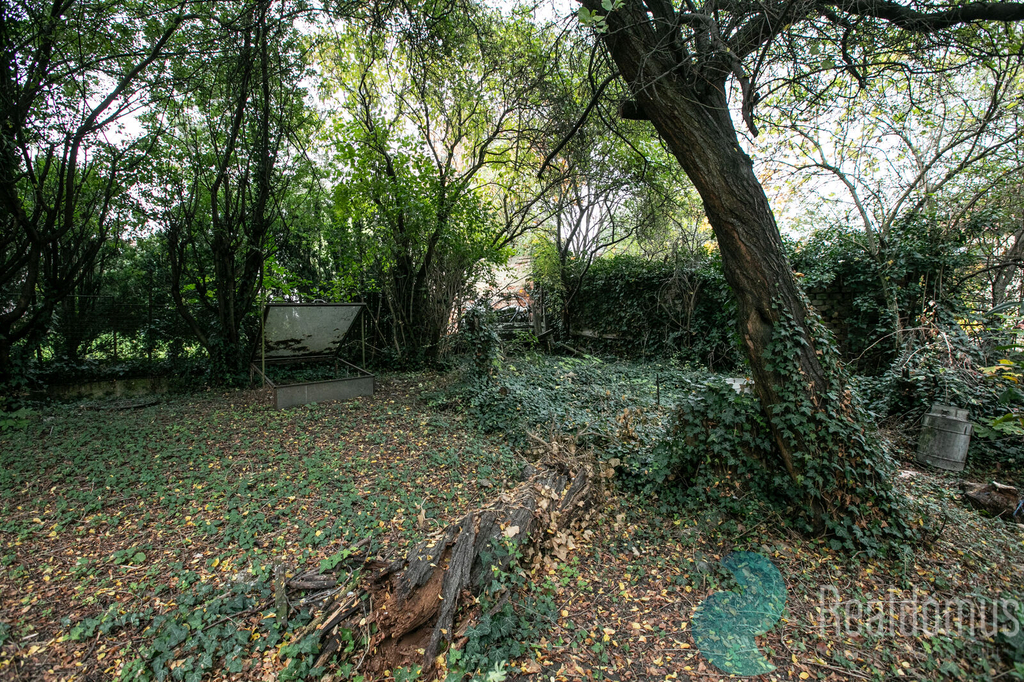 5d4-6333.jpg