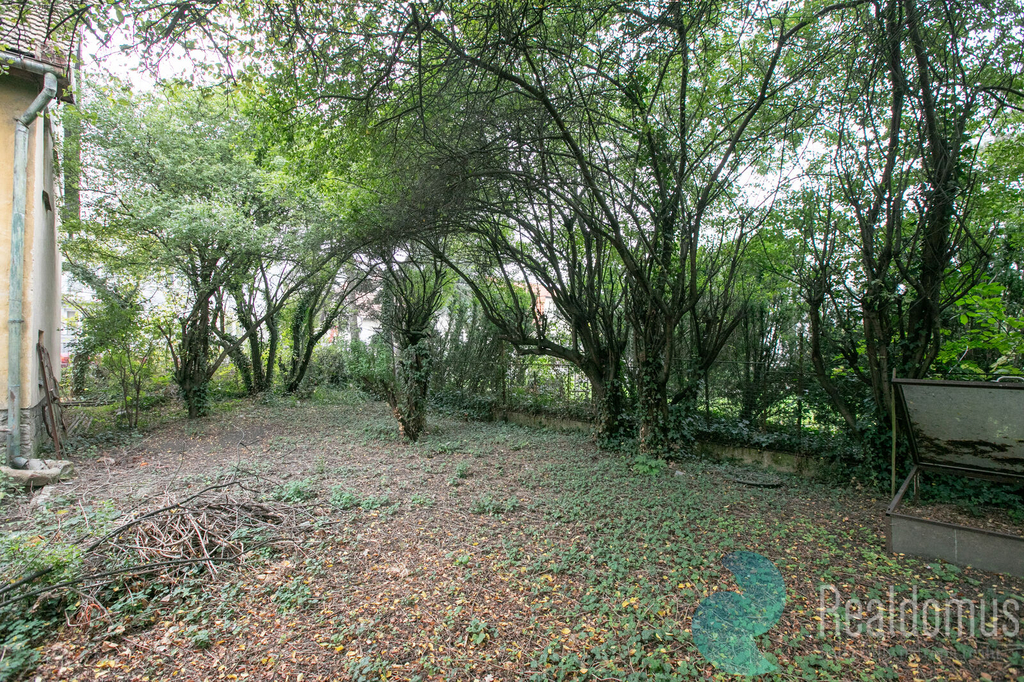 5d4-6335.jpg