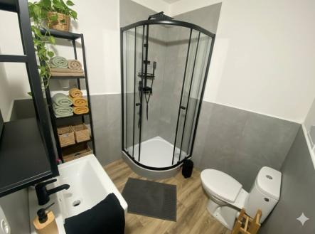 Pronájem bytu, 2+kk, 45 m²