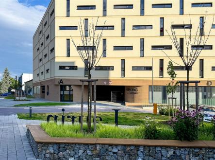 Pronájem bytu, 1+kk, 36 m²