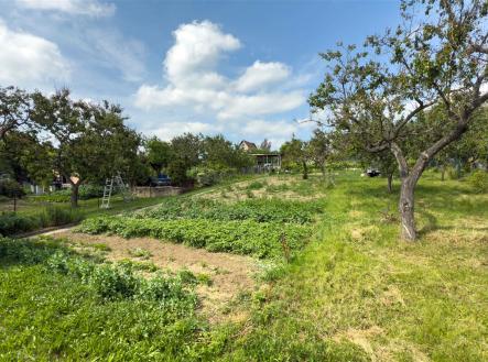 Prodej - pozemek, zahrada, 1 184 m²