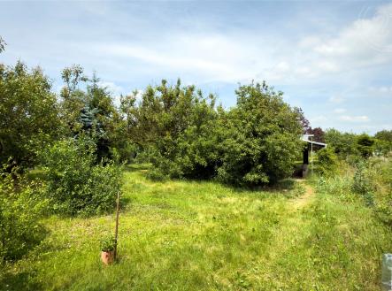 Prodej - pozemek, zahrada, 1 877 m²