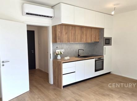 Pronájem bytu, 1+kk, 35 m²