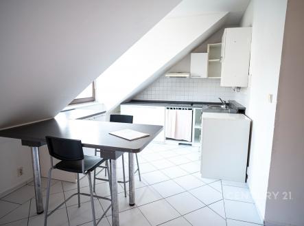 Pronájem bytu, 1+1, 56 m²