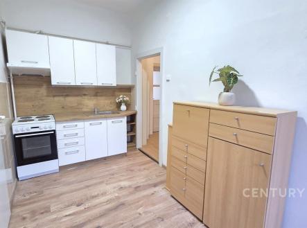 Pronájem bytu, 2+1, 47 m²