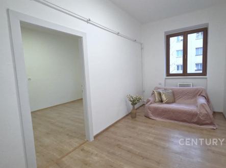 Pronájem bytu, 2+1, 47 m²