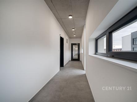 Pronájem bytu, 2+kk, 53 m²