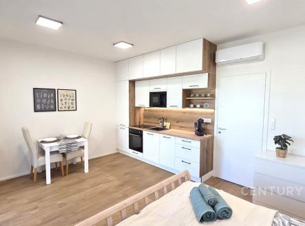 Pronájem bytu, 1+kk, 34 m²