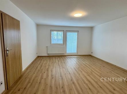 Pronájem bytu, 2+1, 64 m²