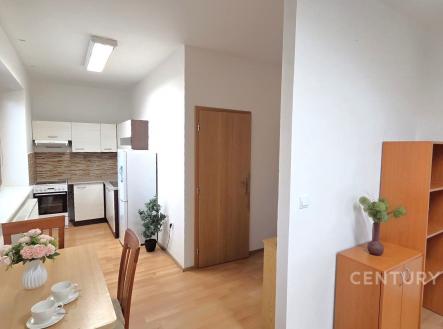 Pronájem bytu, 1+kk, 54 m²