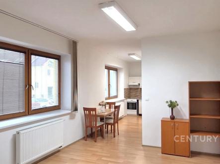 Pronájem bytu, 1+kk, 54 m²