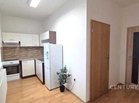 Pronájem bytu, 1+kk, 54 m²