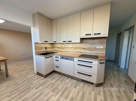 Pronájem bytu, 3+1, 73 m²