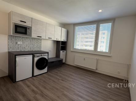 Pronájem bytu, 1+1, 46 m²