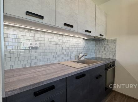 Pronájem bytu, 1+1, 46 m²