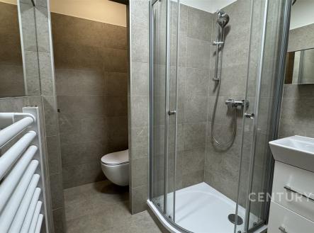 Pronájem bytu, 1+1, 46 m²