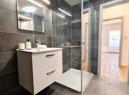 Pronájem bytu, 3+kk, 55 m²