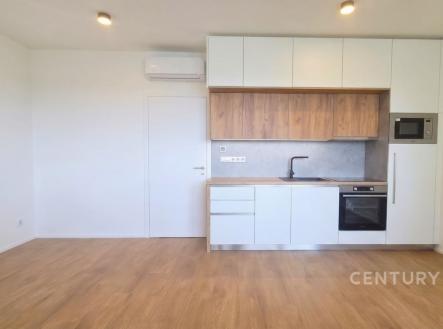 Pronájem bytu, 1+kk, 35 m² obrázek