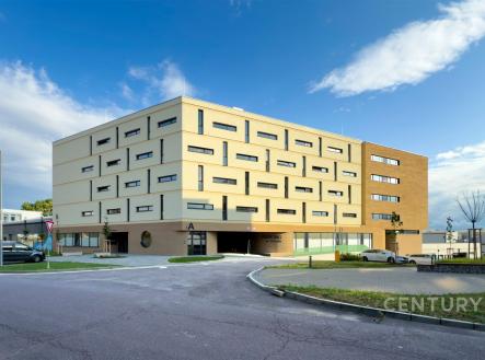 Pronájem bytu, 1+kk, 35 m²