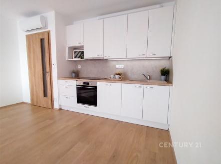 Pronájem bytu, 1+kk, 43 m²
