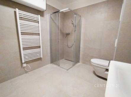 Pronájem bytu, 1+kk, 43 m²