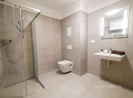 Pronájem bytu, 1+kk, 43 m²