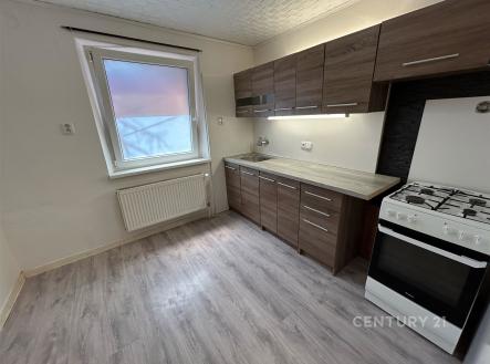 Pronájem bytu, 2+1, 66 m²