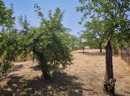 Prodej pozemku, zahrada, 1 034 m²