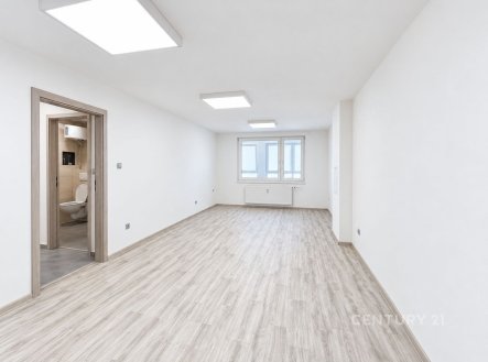 Pronájem jiné komerční nemovitosti, 140 m²