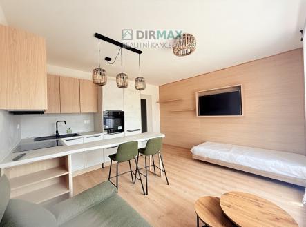 Pronájem bytu, 1+kk, 64 m²