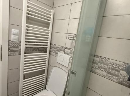 Pronájem bytu, 1+kk, 31 m²