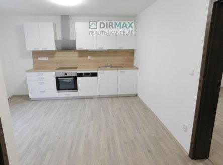 Pronájem bytu 1+1, nezařízený, po rekonstrukci, 42m2, Dělnická ulice, Severní Předměstí