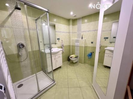 Pronájem bytu, 2+kk, 77 m²