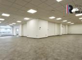 Pronájem obchodní prostor, 314 m²