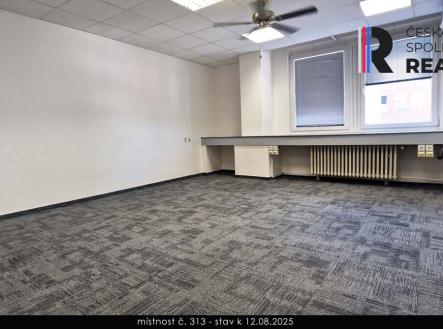 Pronájem kanceláře, 18 m²