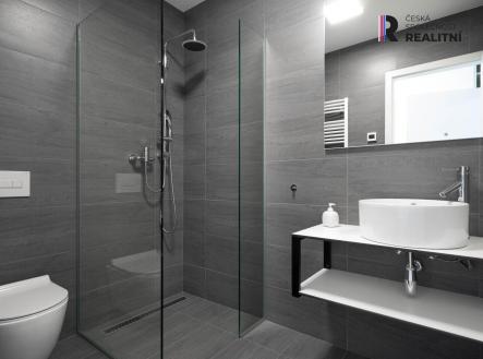 Pronájem bytu, 1+kk, 42 m²