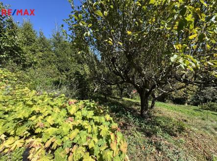 Prodej chaty/rekreačního objektu, 30 m²