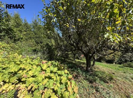 Prodej chaty/rekreačního objektu, 30 m²