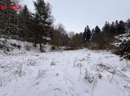 Prodej pozemku pro bydlení, 3 780 m²