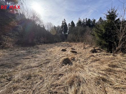 Prodej pozemku pro bydlení, 3 780 m² obrázek