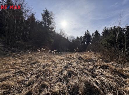 Prodej pozemku pro bydlení, 3 780 m²