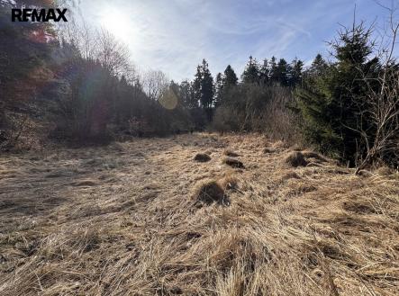 Prodej pozemku pro bydlení, 3 780 m²