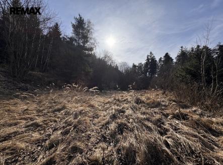 Prodej pozemku pro bydlení, 3 780 m²