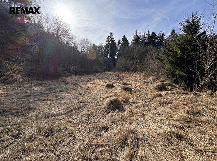 Prodej pozemku pro bydlení, 3 780 m²