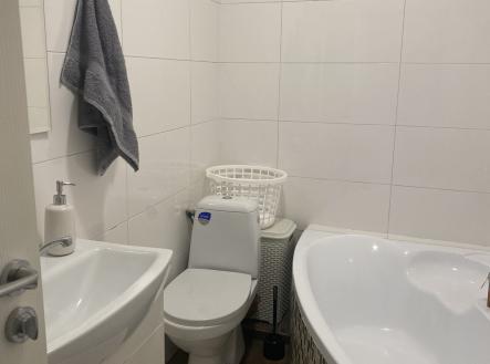 Pronájem bytu, 1+kk, 25 m²