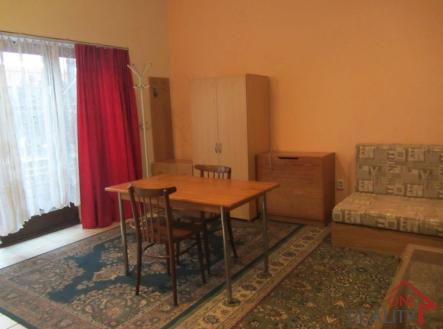 Pronájem bytu, 1+kk, 35 m²