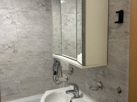 Pronájem bytu, 1+1, 35 m²